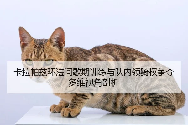 ka-la-pa-zi-huan-fa-jian-xie-qi-xun-lian-yu-dui-nei-ling-qi-quan-zheng-duo-duo-wei-shi-jiao-pou-xi-2-656.jpg